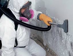 Why You Should Choose Our Mold Remediation Services in Lakeland South, WA